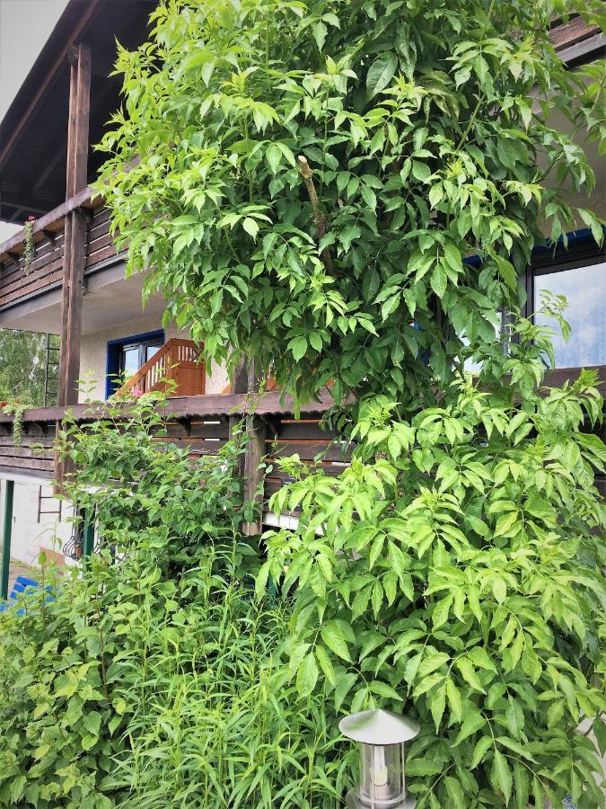 Antjes Schmankerlhotel Und Restaurant Trostau ภายนอก รูปภาพ
